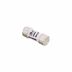 Boîte de 10 fusibles GF 10 x 25 16A à voyant - L'EBENOID - 064516