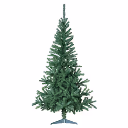 Les douces nuits de Mae 2SAPIN/NOEL/ESS/769302