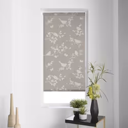Les douces nuits de Mae 4STO/ENR/ROSSTAU/45X180