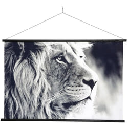 Atmosphera - Tableau toile Lion 73x110 cm
