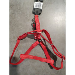 Harnais Chien Rouge Zolux Mac Leather 15mm