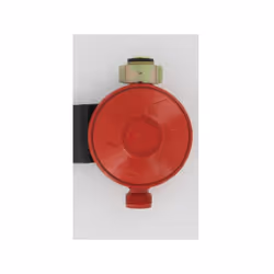 Marque du produit : GAZINOX Type de gaz : Gaz propane Poids net (en g) : 199 Produit emballé : hauteur (en cm) : 11.9 Produit ...