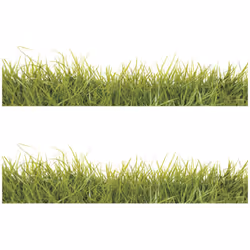 Stickers - Herbes Géantes - Hauteur 92.71 cm Retrouvez cet ensemble de stickers muraux à coller. Ces stickers sont parfaits p ...