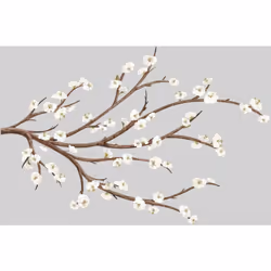 Stickers - Branches De Fleurs Blanches - Hauteur 45,7 cm Retrouvez cet ensemble de stickers muraux à coller. Ces stickers son ...
