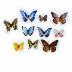 Stickers repositionnables - Papillons colorés Caractéristiques : - Ensemble de stickers Stickers repositionnables - Papillons ...
