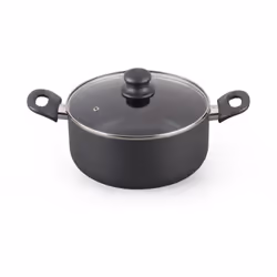 Faitout ESSENTIELB AL DENTE diam 24cm Grise tous feux