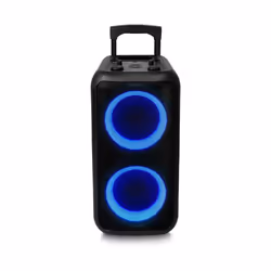 Enceinte sono ESSENTIELB PTB 500