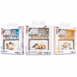 Bigben Interactive BB296761, Nintendo 3DS, DSi, DS Lite