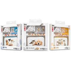 Bigben Interactive BB296761 accessoire de console de jeux