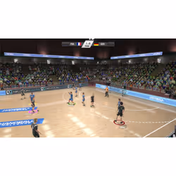 Bigben Interactive IHF Handball Challenge 14, PlayStation 3, Support physique
