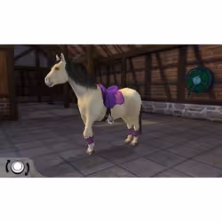 Bigben Interactive I Love My Pony Standard Nintendo 3DS