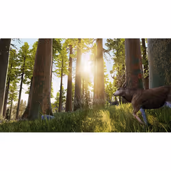 Bigben Interactive Hunting Simulator, PC, T (Teen)