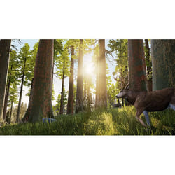 Bigben Interactive Hunting Simulator PC