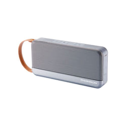 Thomson WS02GM enceinte portable Enceinte portable stéréo Gris 12 W