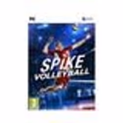 Bigben Interactive Spike Volleyball, PC, Mode Multiplayer, Tout le monde