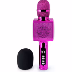 PARTY Light & Sound PARTYBTMIC2PK