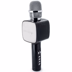 PARTY Light & Sound PARTYBTMIC2BK enceinte portable Noir