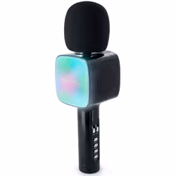 PARTY Light & Sound PARTYBTMIC2BK enceinte portable Noir