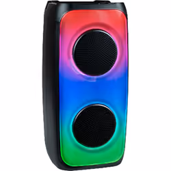 PARTY Light & Sound PARTYBTHPM enceinte portable Noir