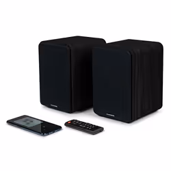 Thomson WS600DUO haut-parleur 1-voie Noir Avec fil 30 W