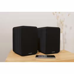 Thomson WS600DUO haut-parleur 1-voie Noir Avec fil 30 W