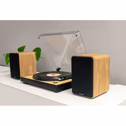 Thomson WS602DUO haut-parleur 1-voie Bois Avec fil 30 W - Vue supplémentaire 4