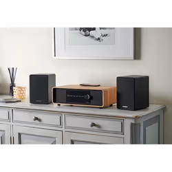 Thomson WS400DUO haut-parleur 2-voies Noir Avec fil &sans fil 50 W - Vue supplémentaire 5