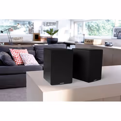 Thomson WS400DUO haut-parleur 2-voies Noir Avec fil &sans fil 50 W - Vue supplémentaire 6