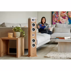 Thomson DS121CD ensemble audio pour la maison Système audio domestique à tour 10 W Blanc, Bois