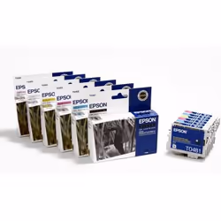 Epson Inktcartridge T048140 zwart cartouche d'encre Original Noir