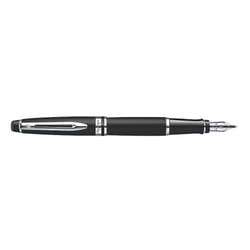 Waterman Expert stylo-plume