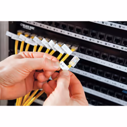 DYMO RHINO 4200 imprimante pour étiquettes AZERTY - Vue supplémentaire 17