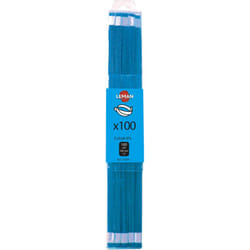 Etui de 10 lames bi metal 300X13X0.65 10TPI