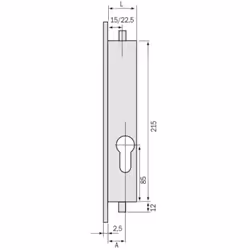 Têtière inox satiné de 255 x 22 mm, avec entraxe de perçage de 235 mm. Course des tringles : 14 mm. Condamnation par 2 tours  ...