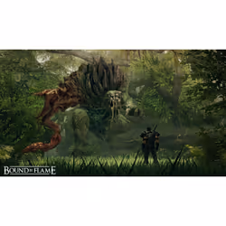Focus Entertainment Bound by Flame, PlayStation 4, M (Mature)
