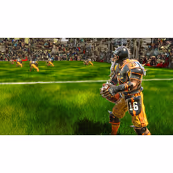 Focus Entertainment Blood Bowl 2 Standard Allemand, Anglais, Espagnol, Français, Italien, Polonais, Russe PC