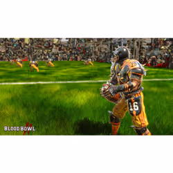 Focus Home Interactive Blood Bowl 2, PS4 Standard Allemand PlayStation 4