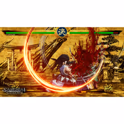 SNK Corporation Samurai Shodown Standard PlayStation 4 - Vue supplémentaire 7