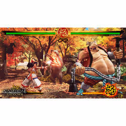 SNK Corporation Samurai Shodown Standard PlayStation 4 - Vue supplémentaire 8