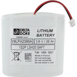 Batterie - Delta Dore - CS 8000-SI-SEF TYXAL+ - 18 V - Alimentation sirène 8 zones - Dimensions 200x48x106 mm