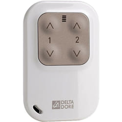 Delta Dore - 6351388 Tyxia 1400 Telecommande porte cle radio 2 voies Eclairage Volet roulant
