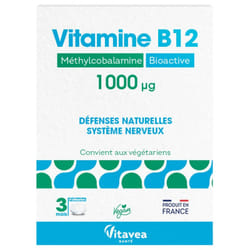 Vitavea Vitamine B12 1000 µg 90 Comprimés