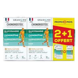 Granions Chondrostéo+ Articulations Lot de 3 x 90 Comprimés