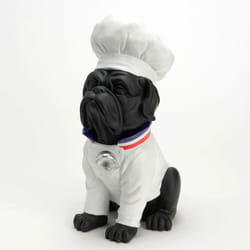 Chien cuisinier - Amadeus
