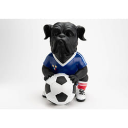 Amadeus - Chien footballer France xxl