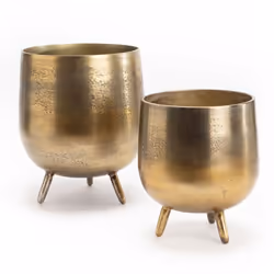 Les cache-pots arborent un design contemporain qui s'harmonise parfaitement avec tout type d'intérieur, qu'il soit moderne, i ...