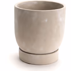 Ce vase en ciment brut offre une polyvalence de design incroyable. Vous pouvez l'utiliser pour afficher une variété de plante ...