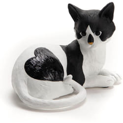 Amadeus - Chat Jules cœur