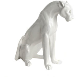 Panthère blanche assise - Amadeus