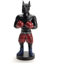 Chien boxer boxe - Amadeus
